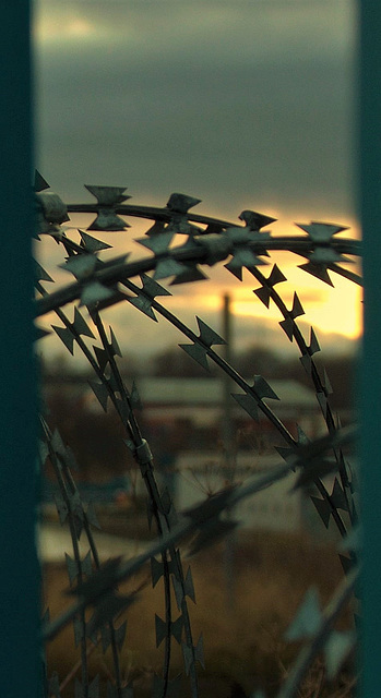 Razor Wire 2