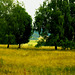 Wald, Benneckenstein