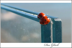 Das Leuchten in Rot-Blau