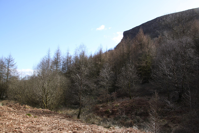 Mynydd Blaenrhondda