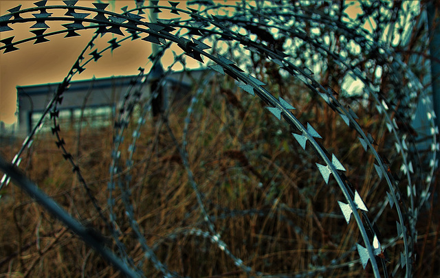 Razor Wire 1