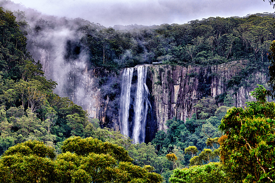 Minyon Falls - NSW