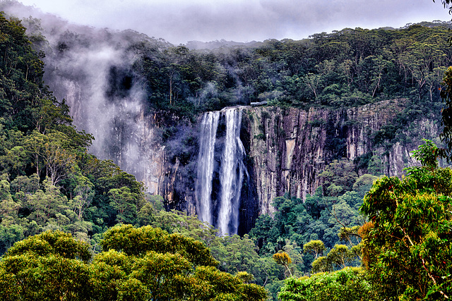 Minyon Falls - NSW