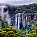 Minyon Falls - NSW