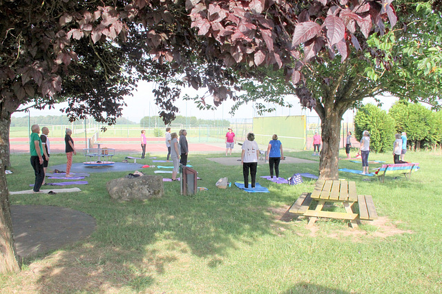 Stretching postural 2024-2025