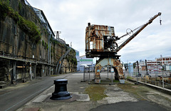 Steam crane