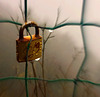 rusty dripping love (padlock)