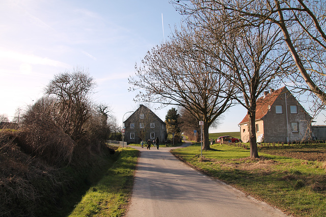 Stockumer Dorfstraße (Unna-Stockum) / 12.02.2022