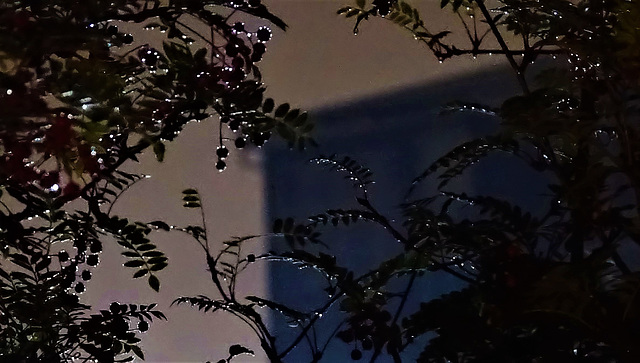 DSC04205