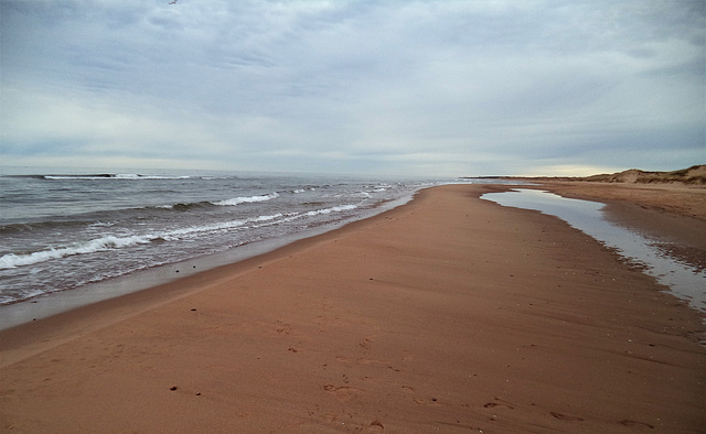 Plage déserte des Maritimes....