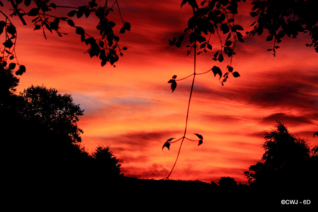 Winter dawn skies this morning