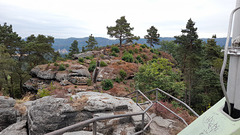 schöna niedergrund 030 schöna niedergrund 030