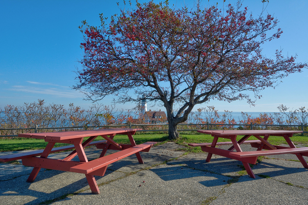 Picnic benches of Portland Maine