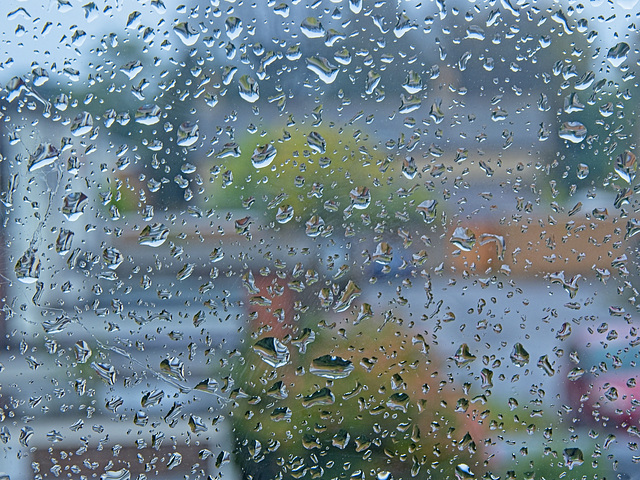 Todays Weather Todays Weather