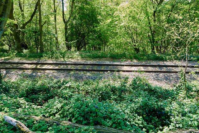 bahnstrecke-00644-co-08-05-16