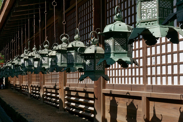 Sanctuaire Kasuga-taisha (春日大社) (8)