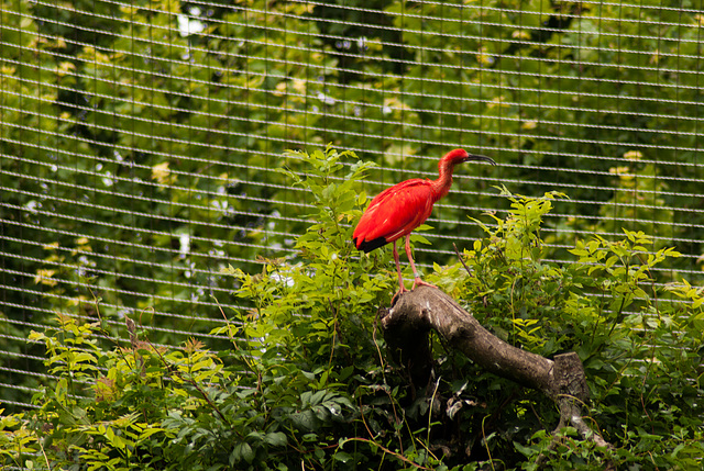 Tierpark Hellabrunn