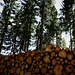 Wald, Benneckenstein