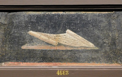 Detail of a Still Life from Herculaneum with Scribal Tools and Papyrus, ISAW, May 2022