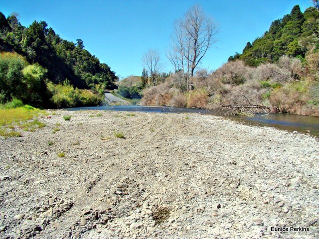 Banks of Whakatane River