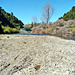 Banks of Whakatane River