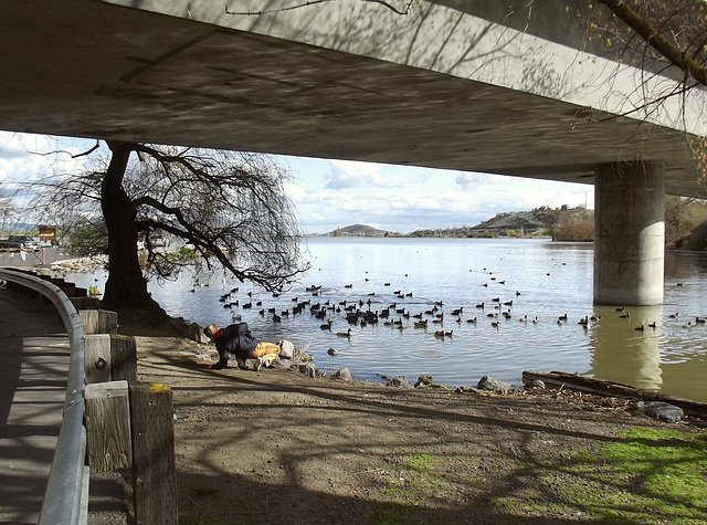 Grandson falls over skipping a rock