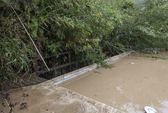 le ponton de la piscine/après