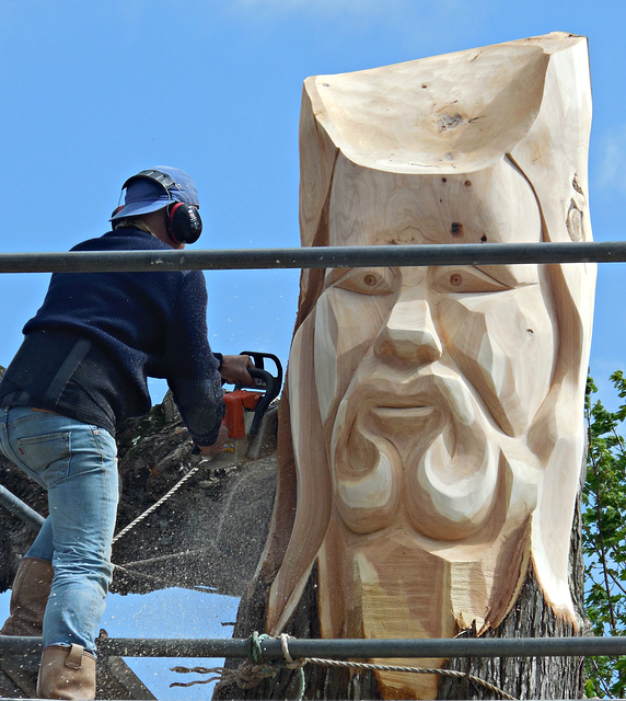 le vieil arbre et l'artiste