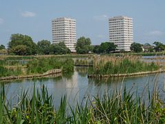 Tower blocks over the reservoir
