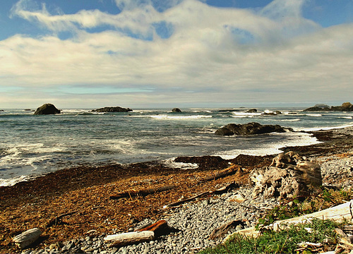 Rocks, wood, sea