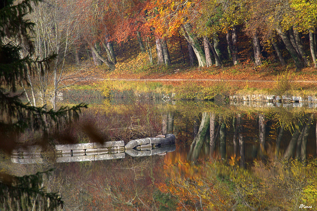 Parc du château de Chantilly