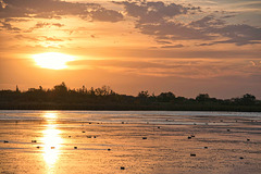 sunrise over Wascana Lake 5