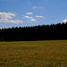 Wald, Benneckenstein