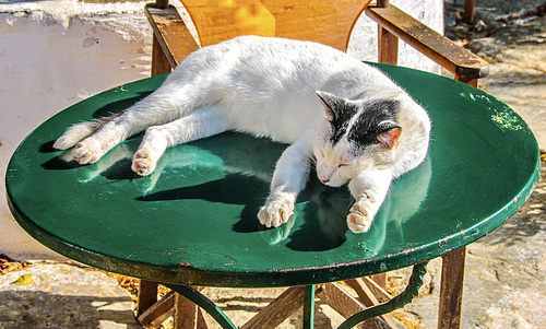 Lazy Sunday
