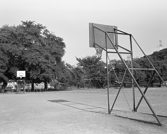 School ground in summer vacation