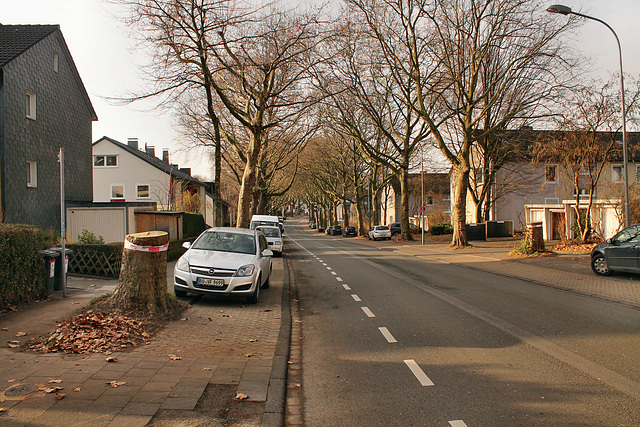 Frauenlobstraße (Bochum-Hiltrop) / 10.12.2016