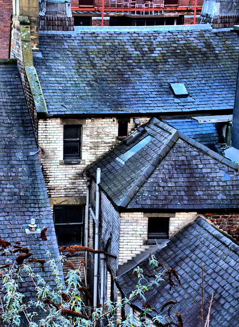 Rooftops and Chimney Pots