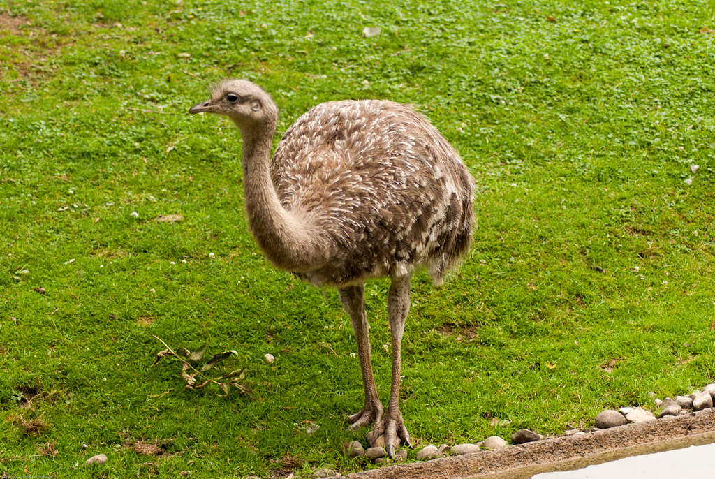 Tierpark Hellabrunn