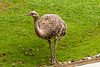 Tierpark Hellabrunn