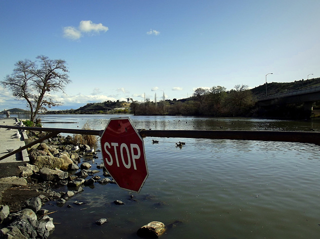 Don't drive into the lake