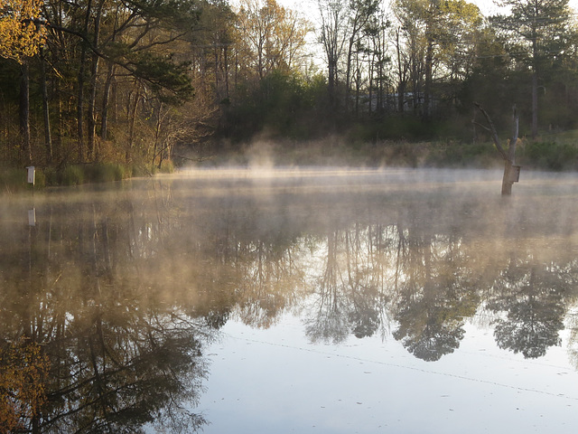 Pond on a slightly foggy morning