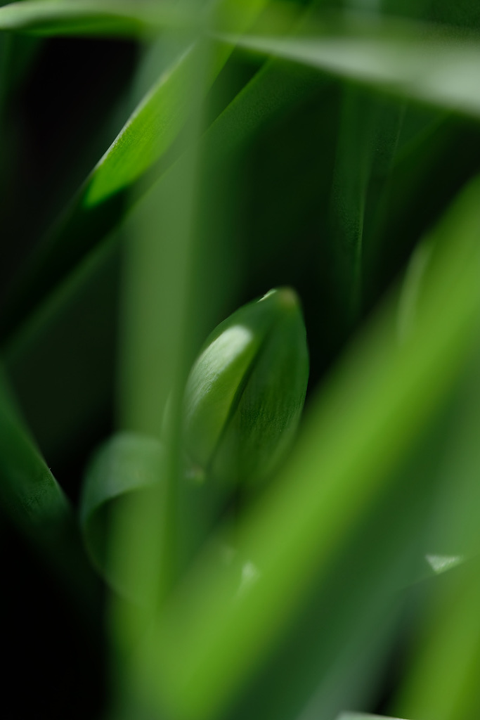 DSCF5591