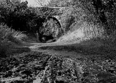 Track Bed, Calne Branch Line