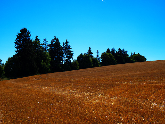 Wandern Hasselfelde - Benneckenstein