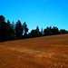 Wandern Hasselfelde - Benneckenstein