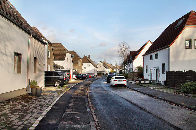 Heidestraße (Siedlung Scholven, Gelsenkirchen-Scholven) / 24.12.2022