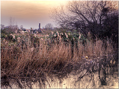 Woodberry Wetlands, Stoke Newington