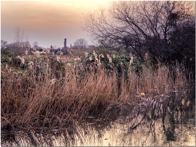 Woodberry Wetlands, Stoke Newington