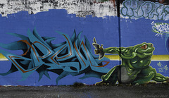 Graffiti beim 'Oberen Letten' ... P.i.P. (© Buelipix)