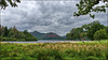 Cat Bells